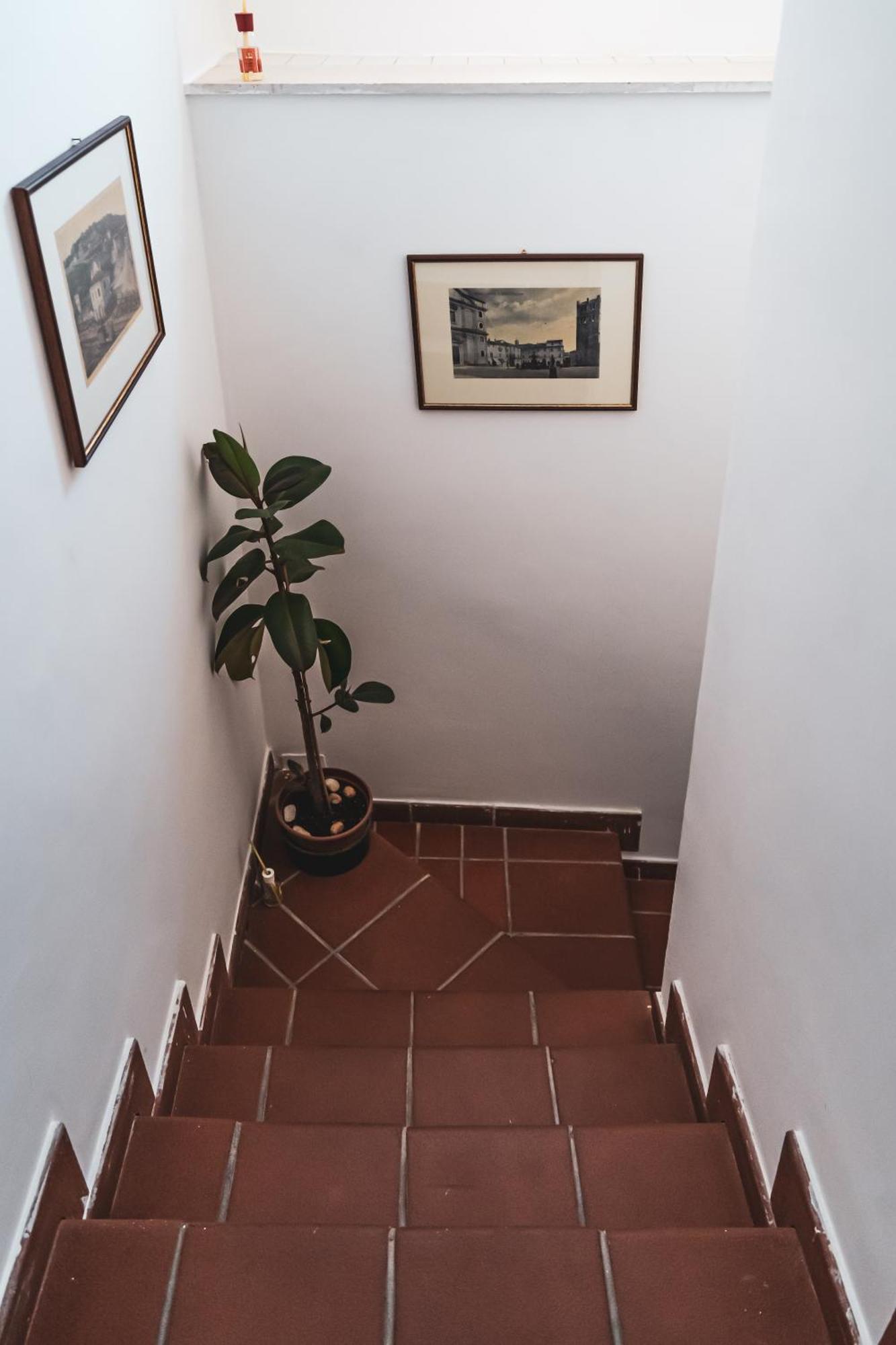 Casina Carina - Intero Appartamento Indipendente Alatri エクステリア 写真